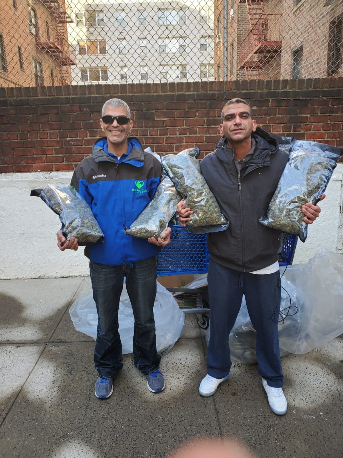 GemmaCert tech tests if weed is cannabis or legal US hemp in minutes