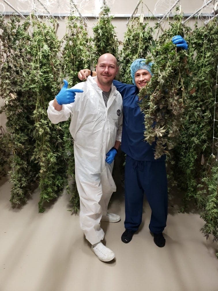 Justin Trudeau's business bailouts gives cannabis the cold shoulder
