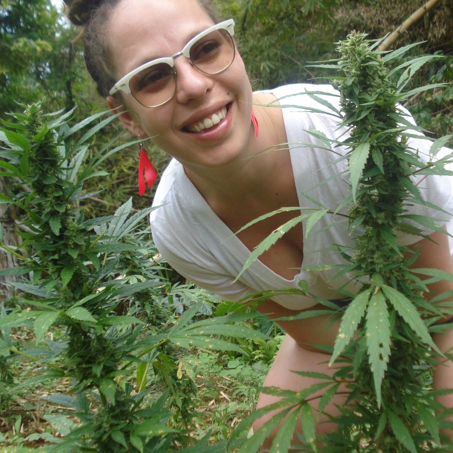 Abi Roach honoured as a hero by Cannabis Amnesty for 4/20