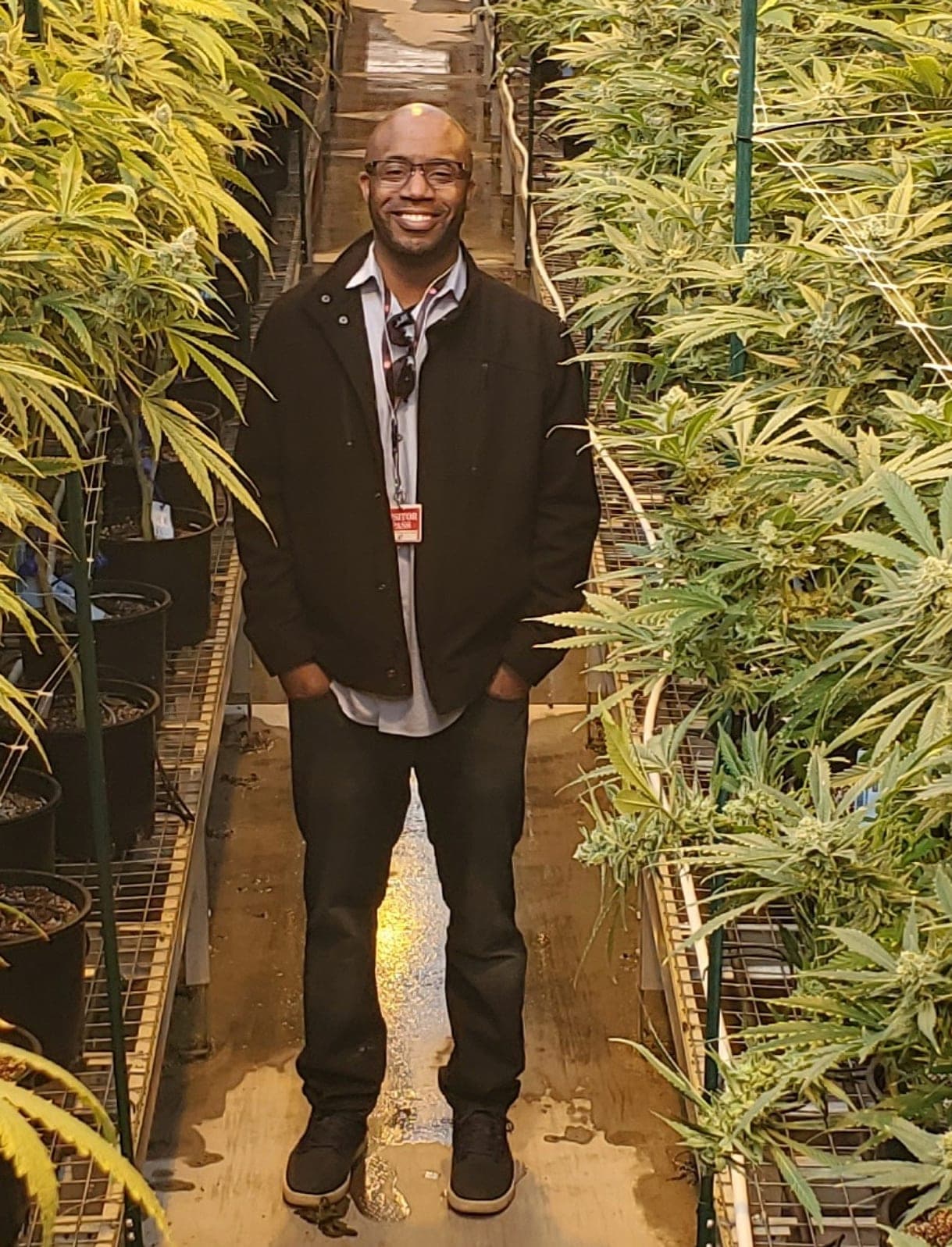 First Arizona dispensaries get green light to sell recreational weed