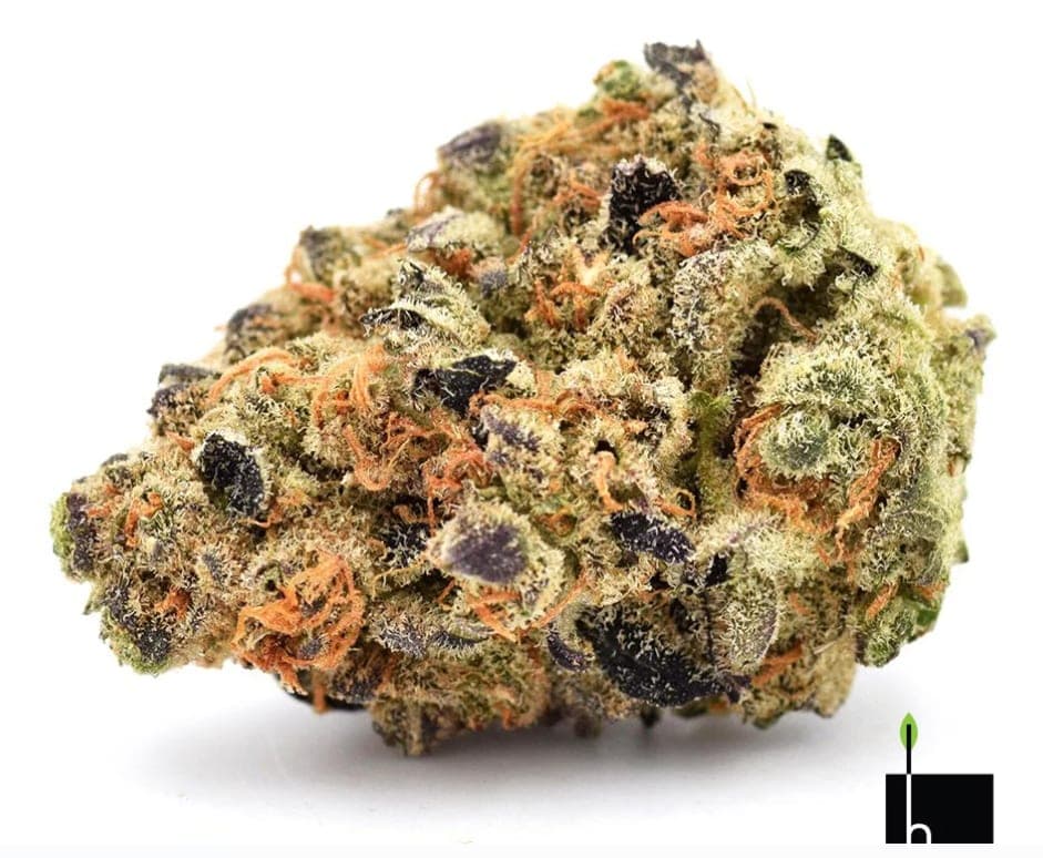 HRVSTR grape marmalade
