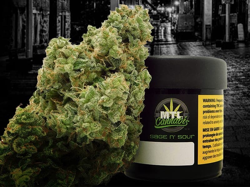 MTL Cannabis Sage n Sour Jar