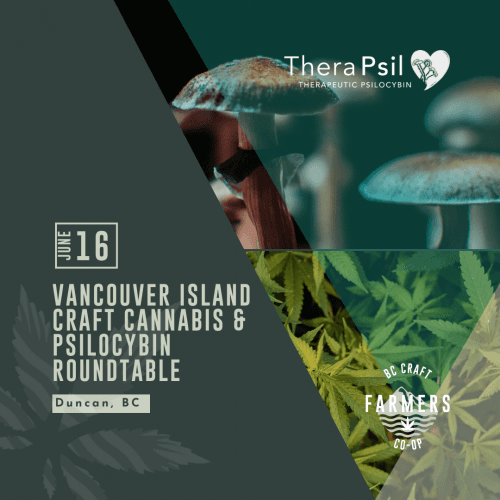 Roundtable rendezvous for psilocybin and craft cannabis farmers set for Duncan, BC