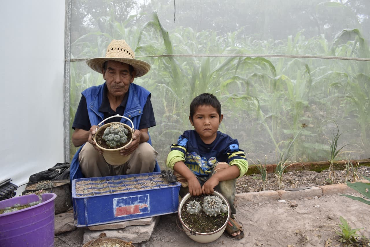 Non-profit launches supporting psychedelic traditions of Mexico's Indigenous people