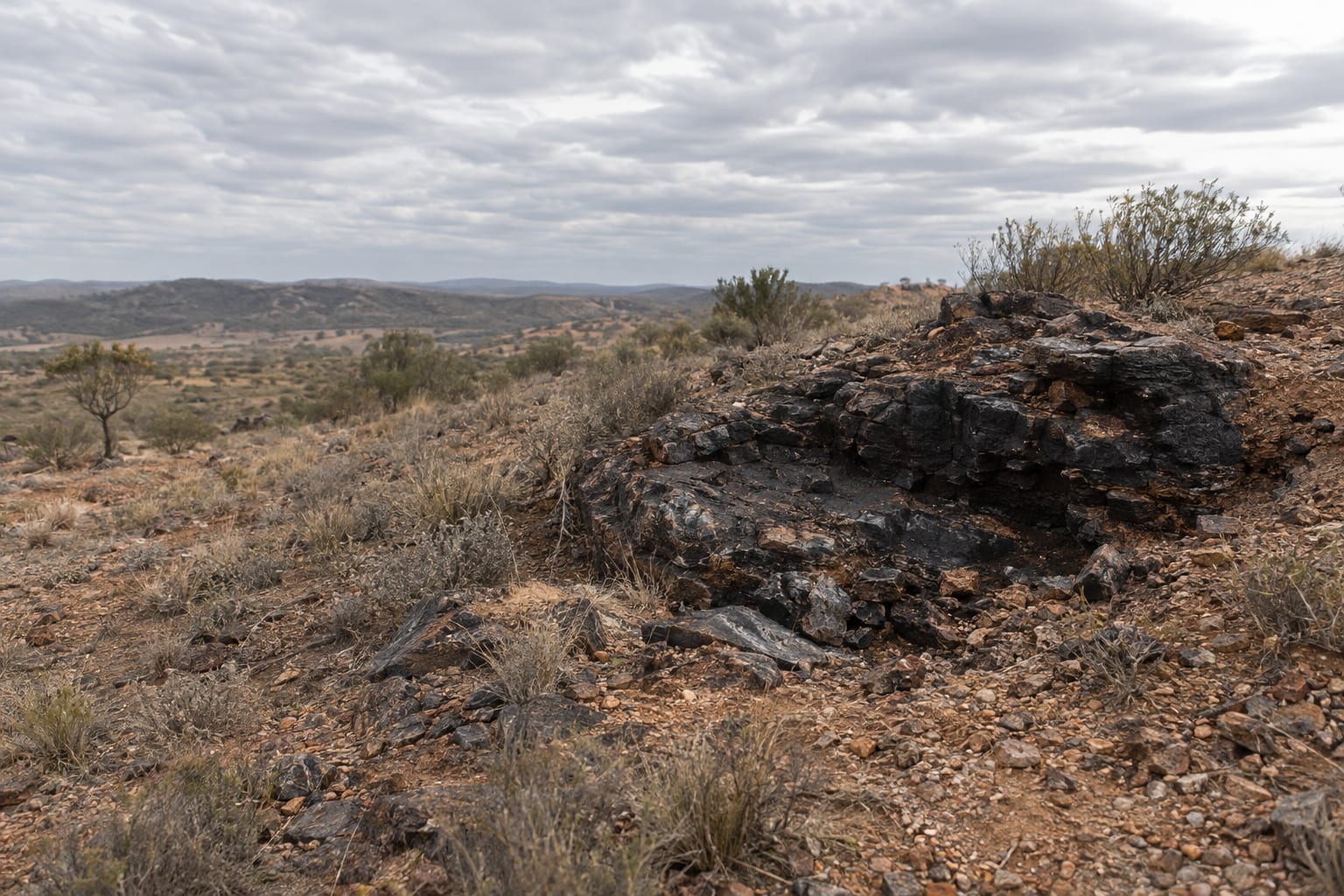 A dark manganese outcrop sits on a low rocky ridge beneath an overcast sky.