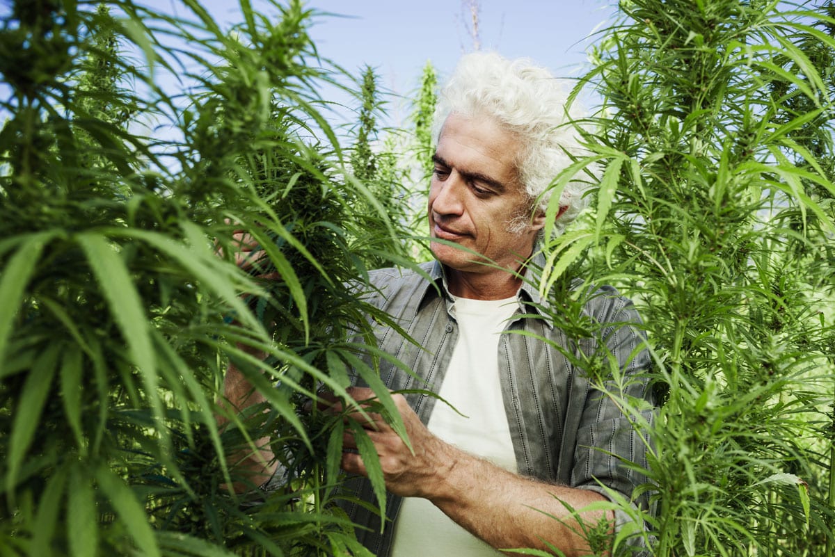 Canna Farms Selected as a Supplier to Ontario Retail Cannabis Market