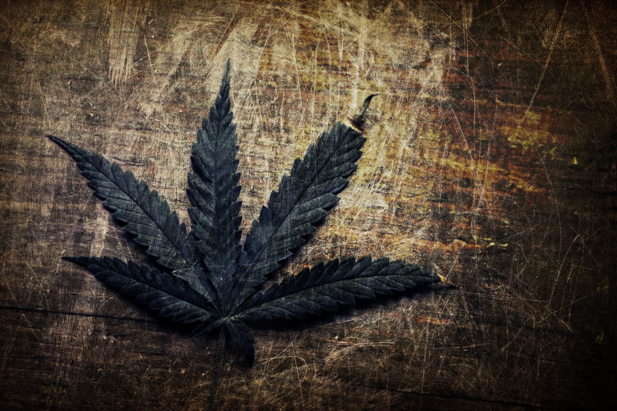 TGOD Announces Deemed Exercise of Special Warrants