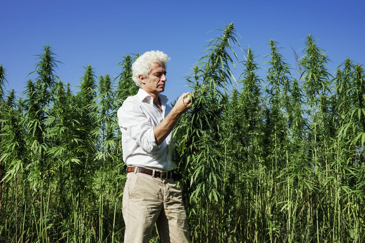 VIVO Cannabis Selected as a Supplier to Ontario Retail Cannabis Market