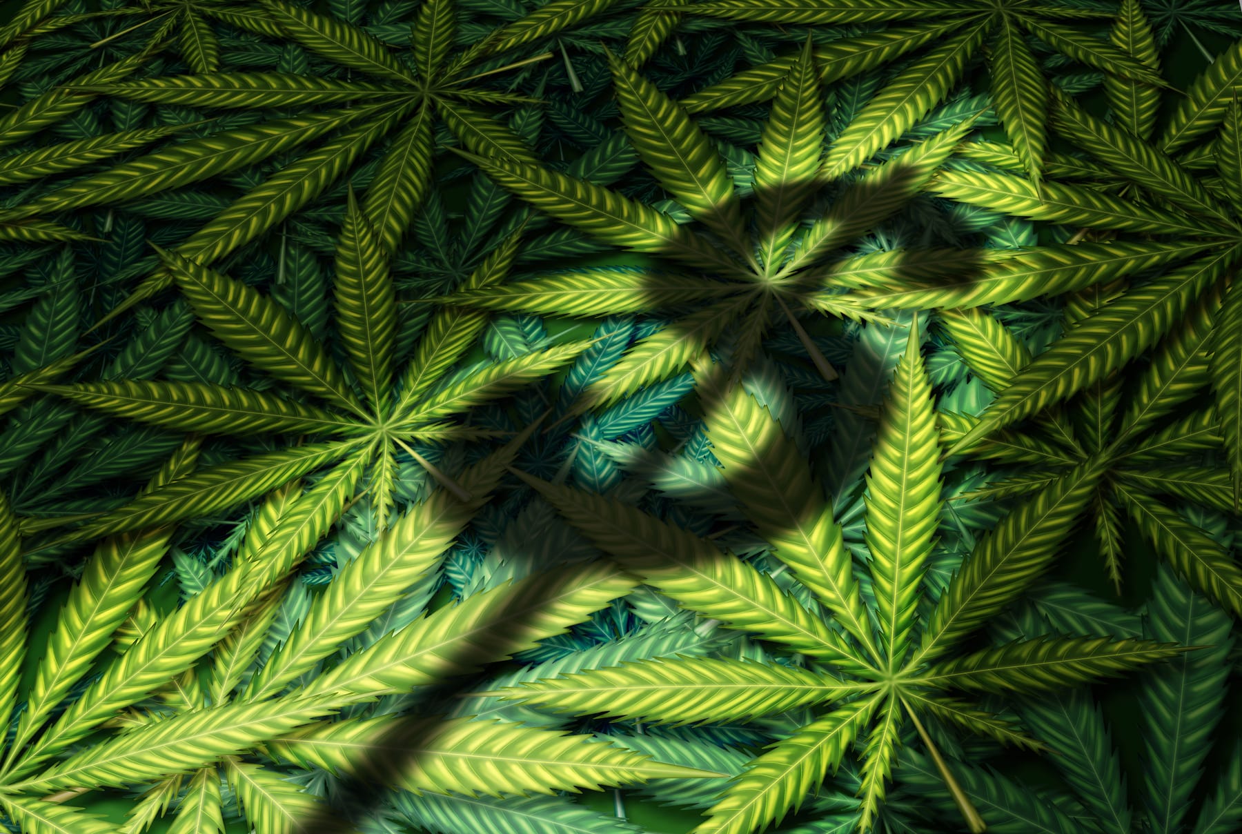 Recreational Pot Sales Off to a Strong Start
