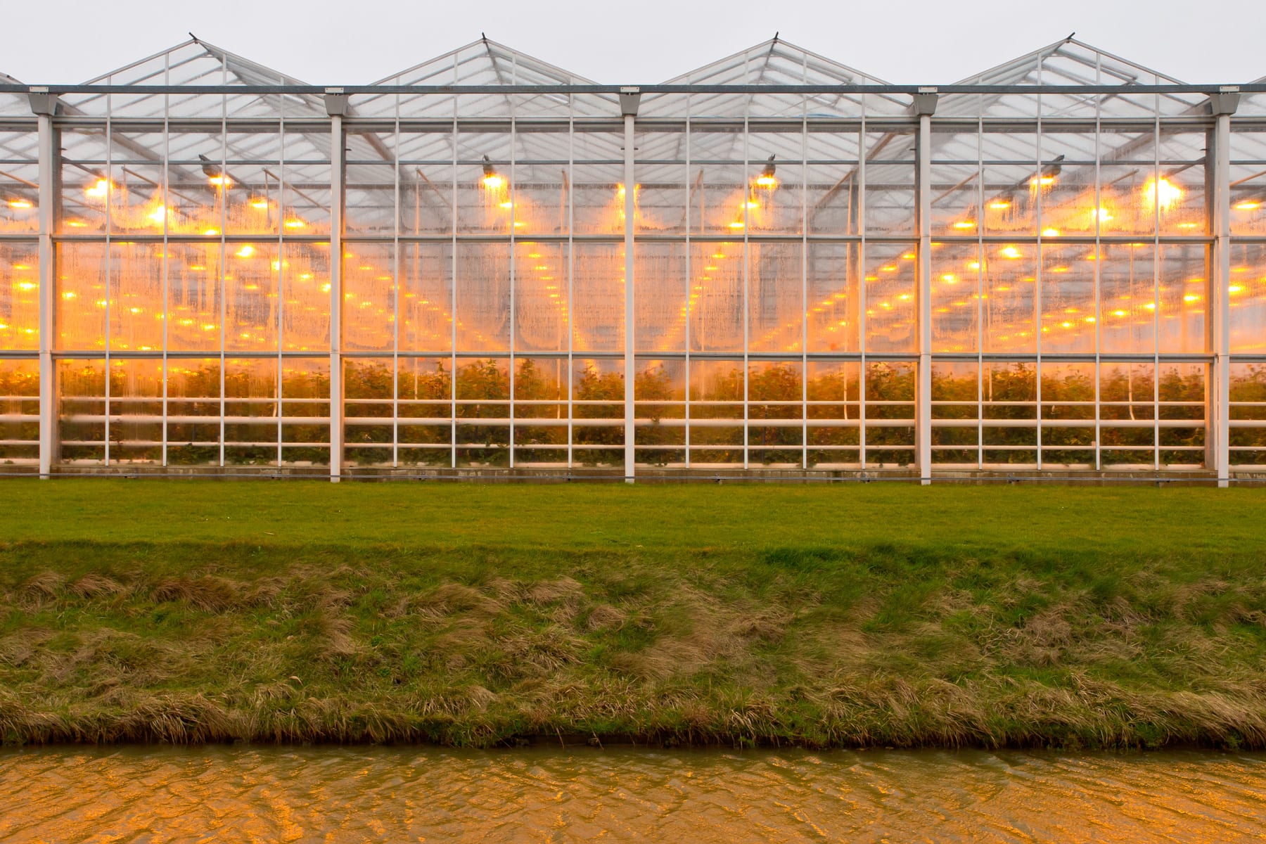 Tilray Doubles its Capacity in Canada with a Key Acquisition