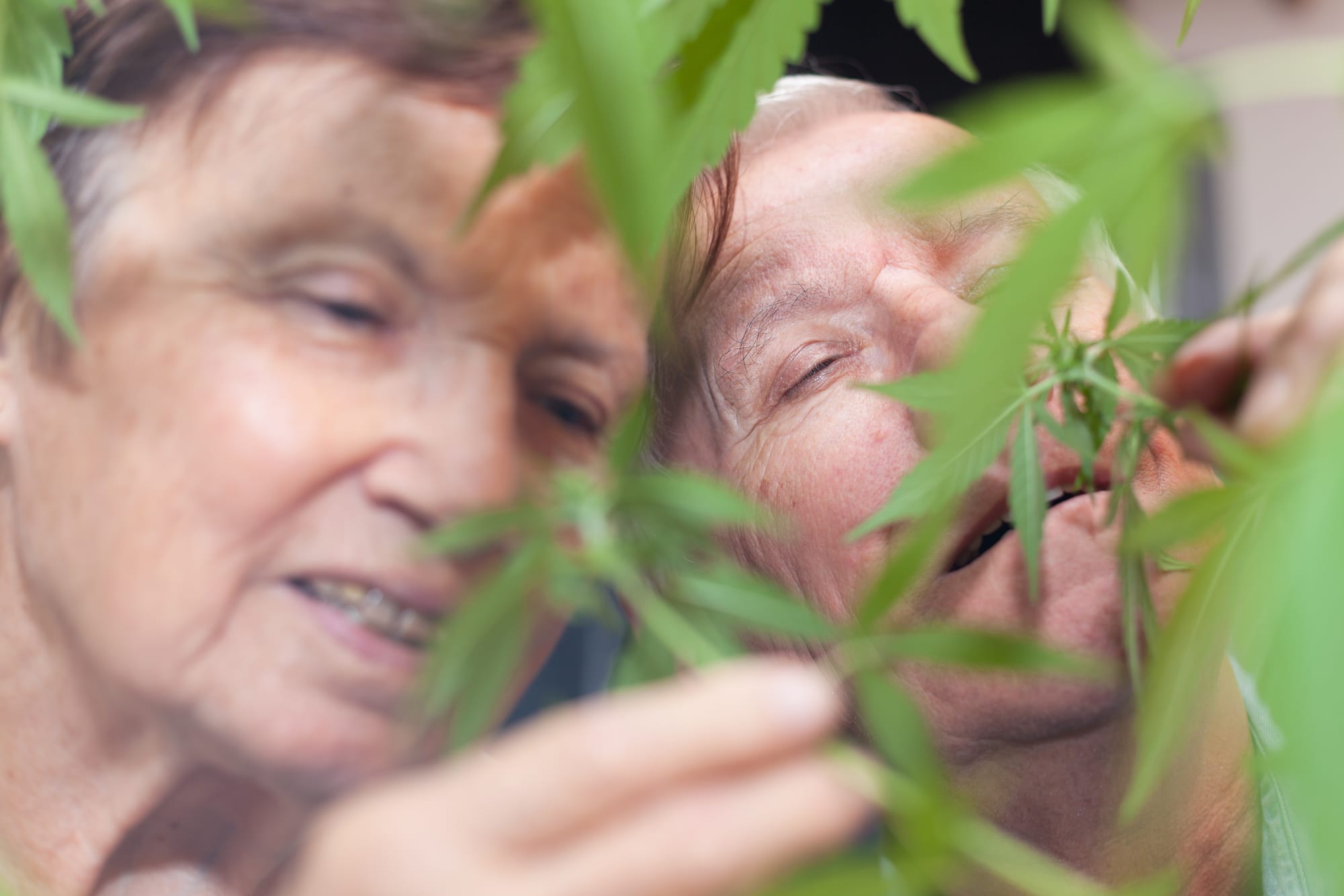 Why Seniors Could Drive a Lot of Growth in the Cannabis Industry