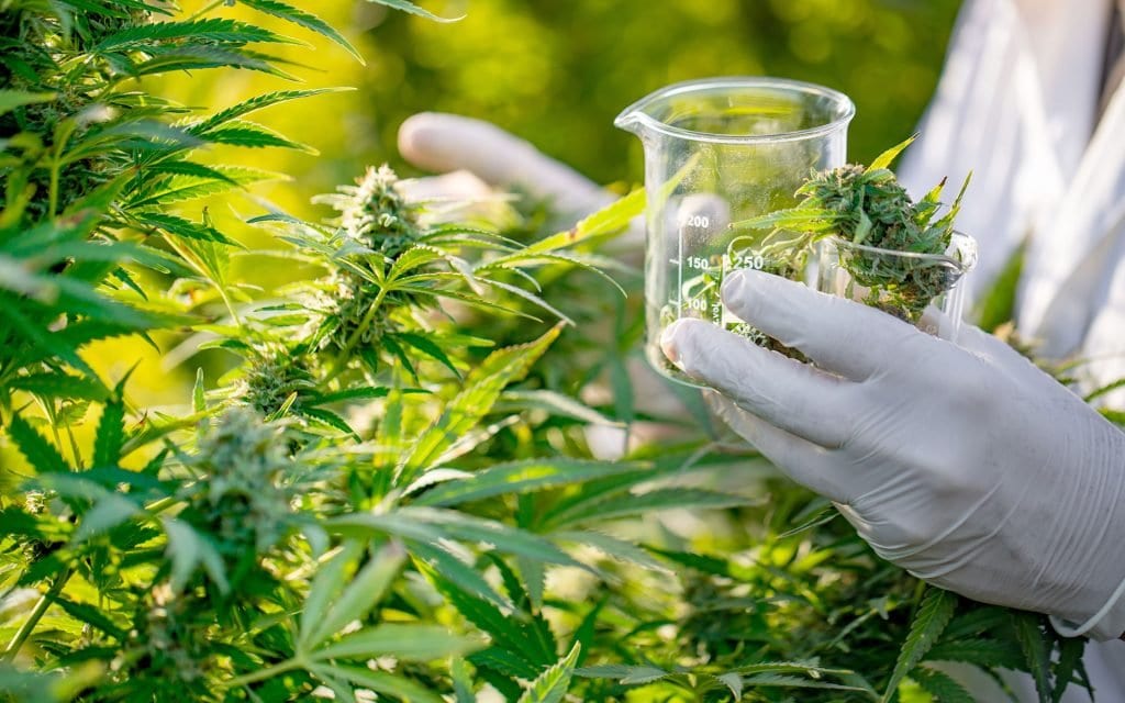 New Jersey Gov. Phil Murphy signed the Jake Honig Compassionate Use Medical Cannabis Act to increase patient access to medical marijuana.