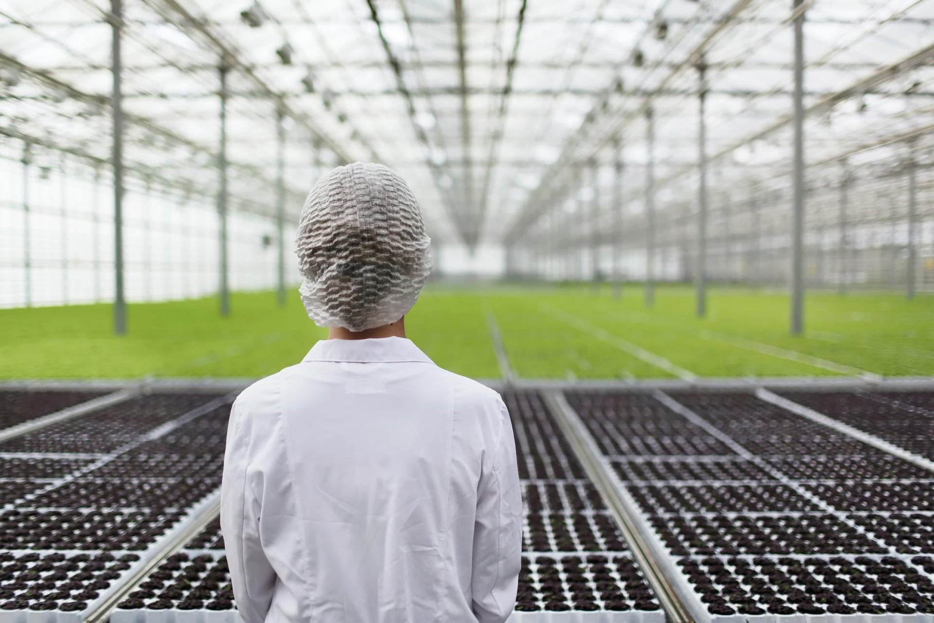 Aphria First Canadian Cannabis Company to Post a Profit on $129M Q4 Revenue