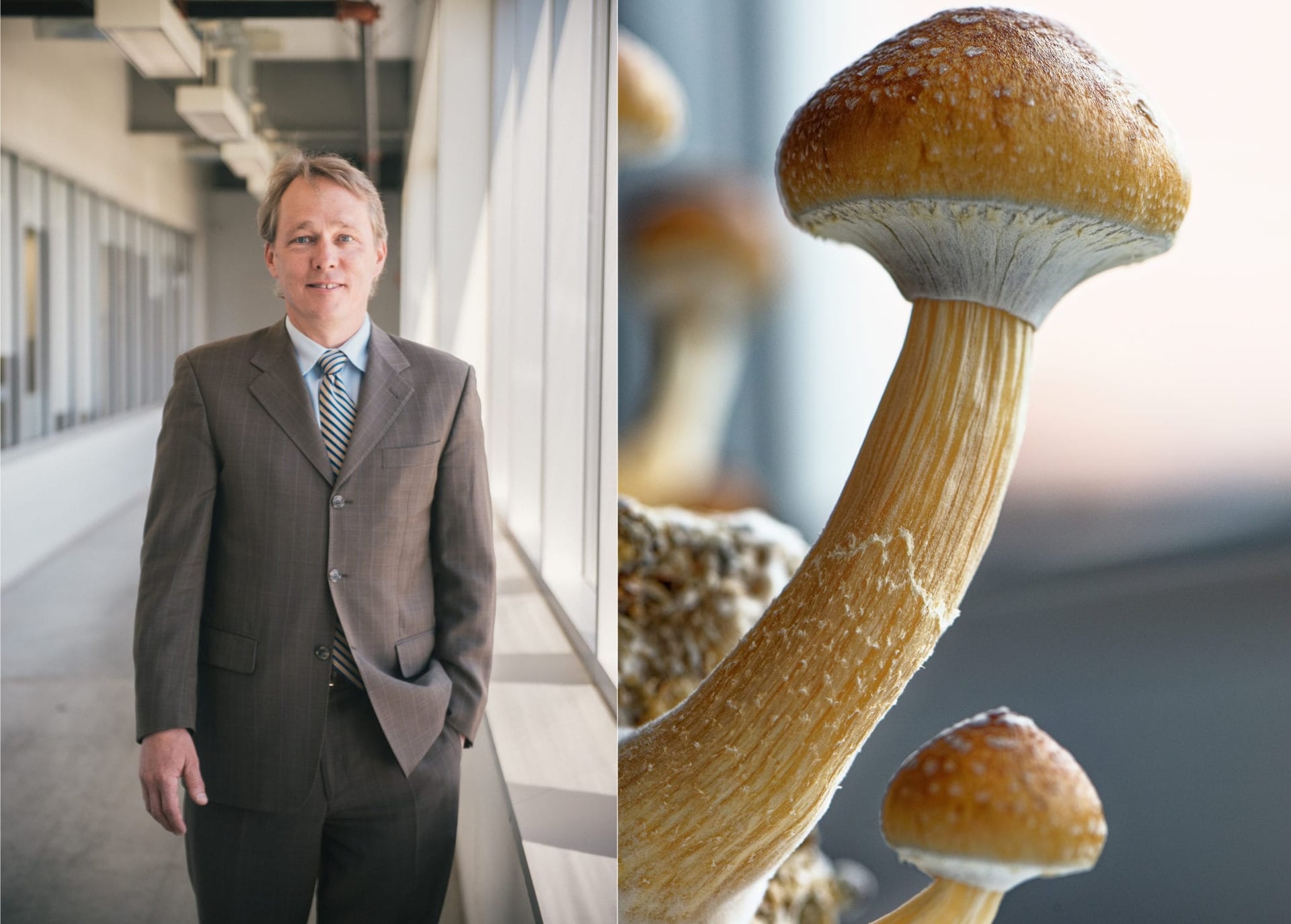 Canopy Founder Bruce Linton Joins Two Pot Firms, Sees Big Opportunity in Psychedelics
