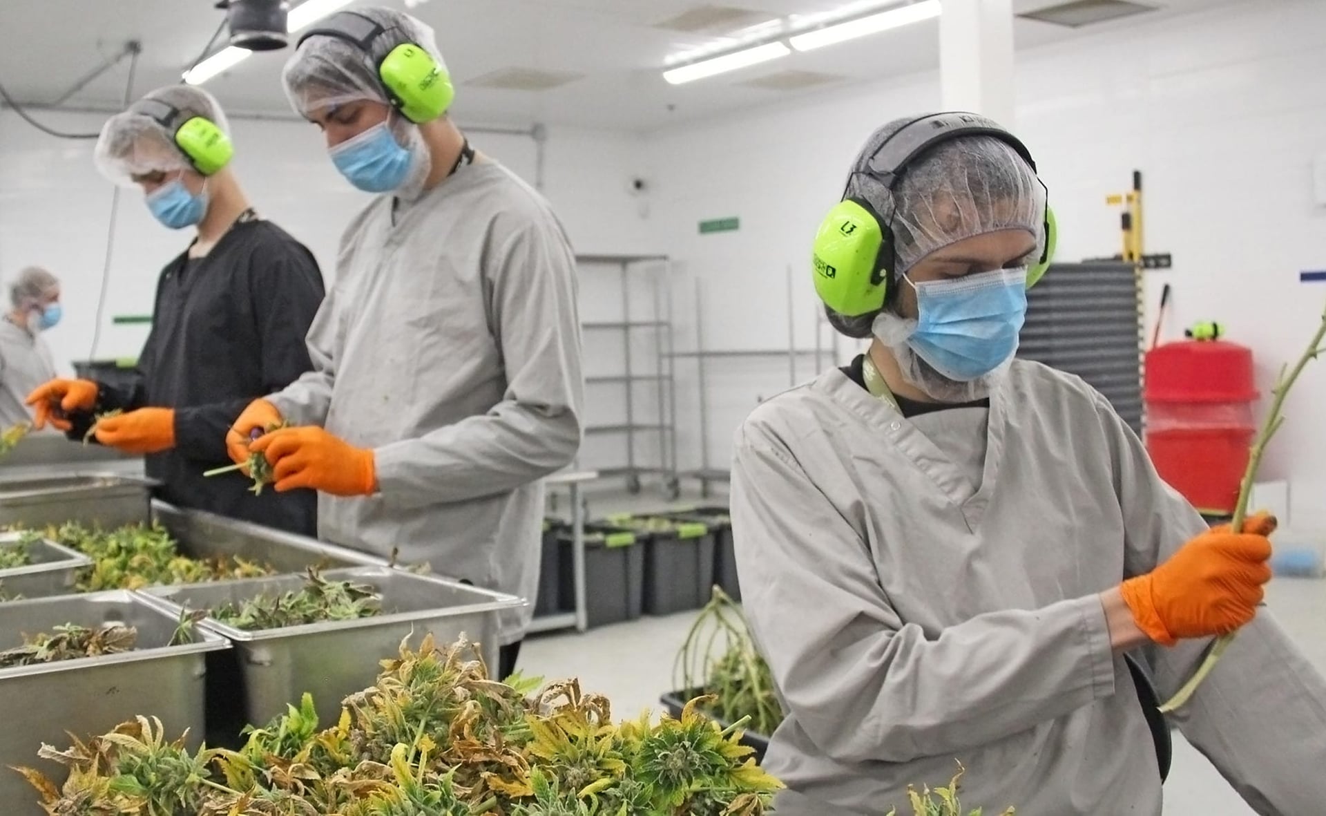 Cannabis JWC job fair