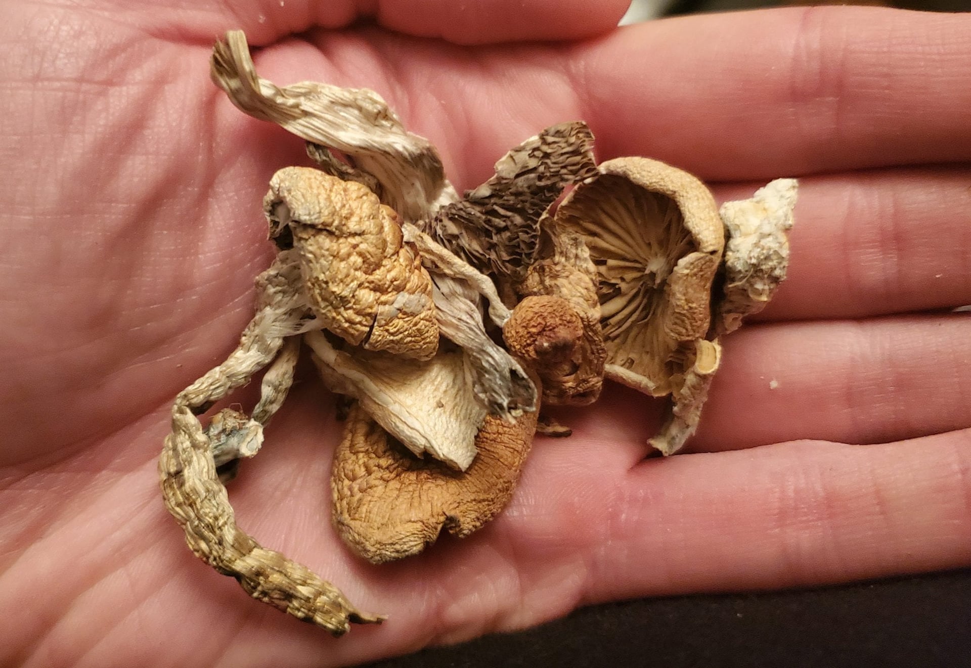Psilocybin therapy 4 times more effective than antidepressants: study