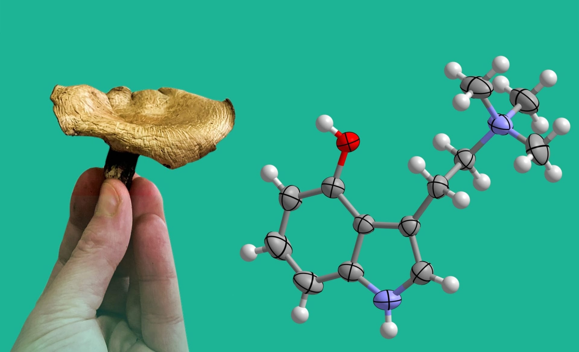 CaaMTech close to winning patent to combine weed and psychedelics