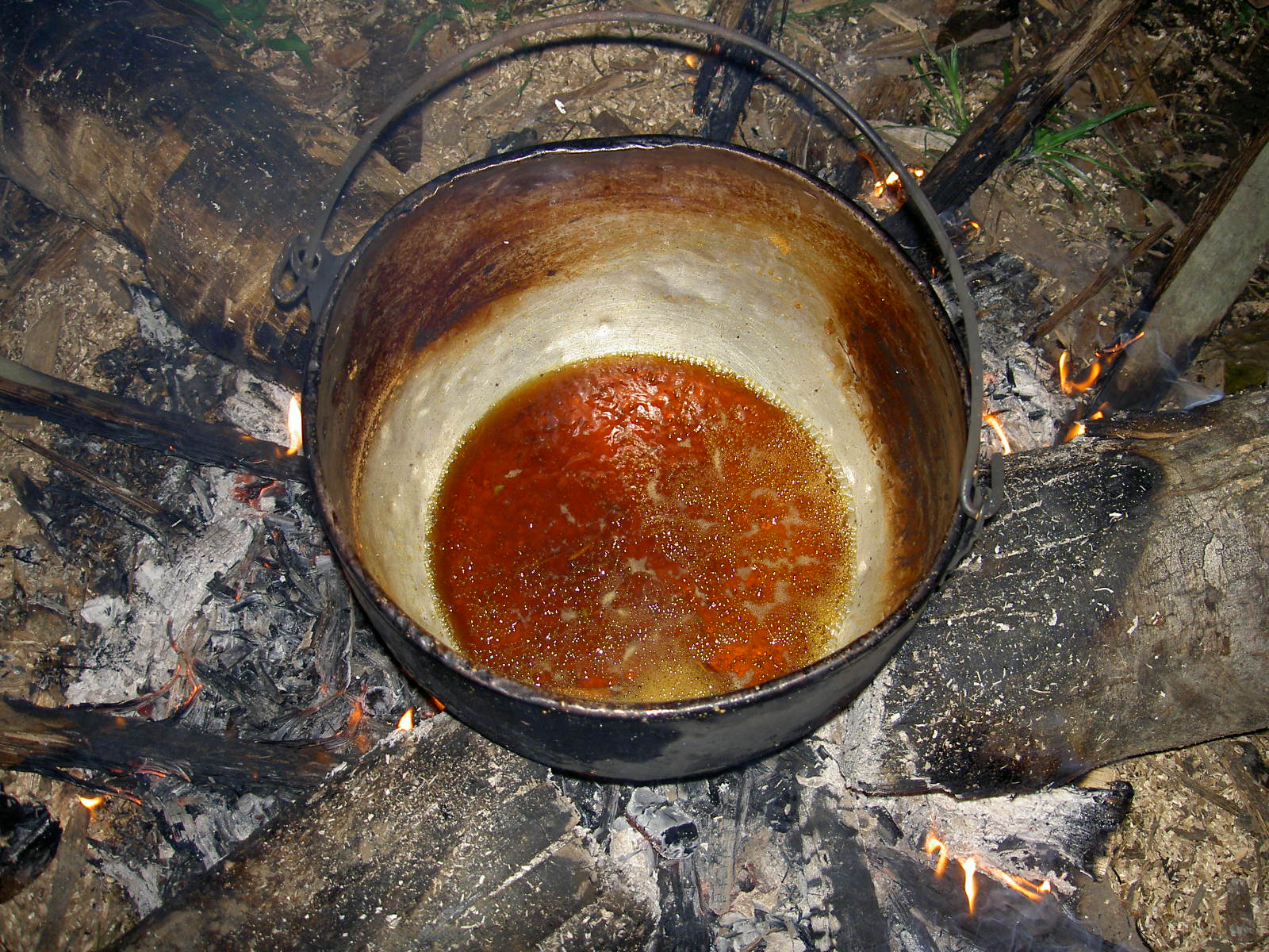 Ayahuasca ceremonies promote peacebuilding among divided societies: study