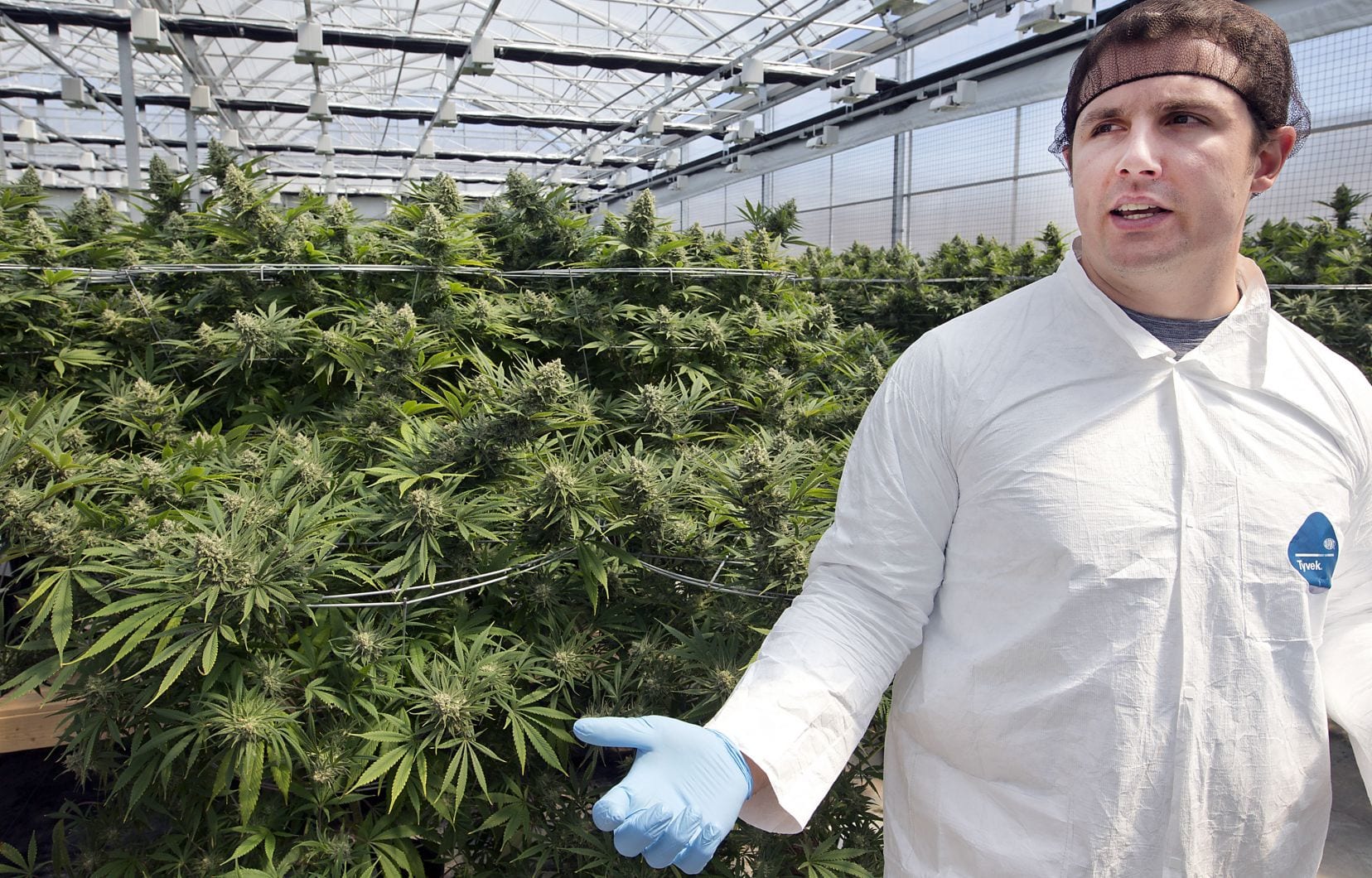 Hexo to enter US pot market with Colorado facility