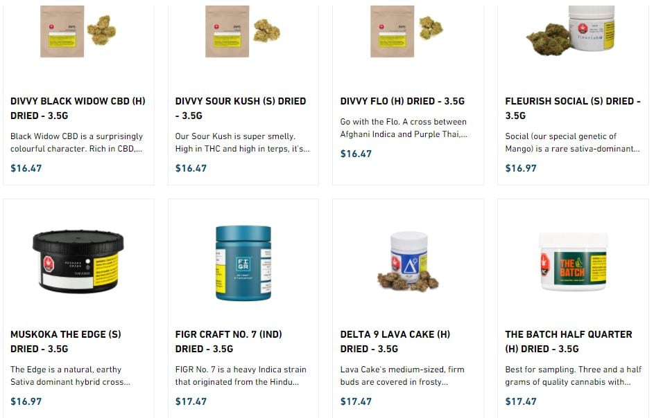 Value Buds brings in profits from selling cannabis at low prices