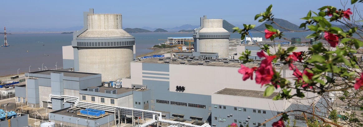 Poland selects Westinghouse AP1000 for the country's first nuclear reactor