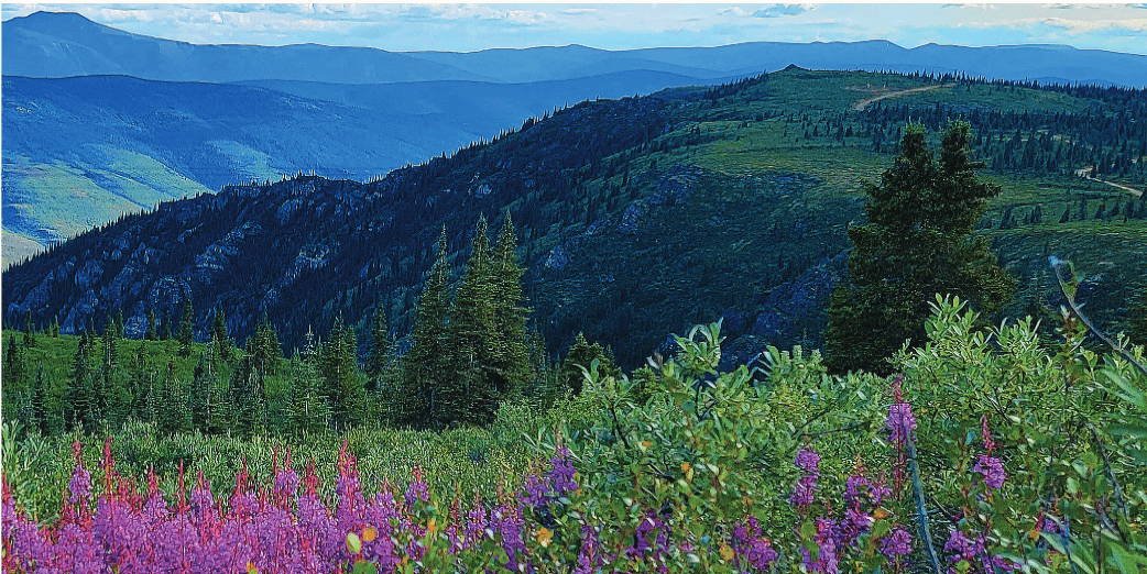 Victoria Gold annual sustainability report shows dedication to local ESG initiatives