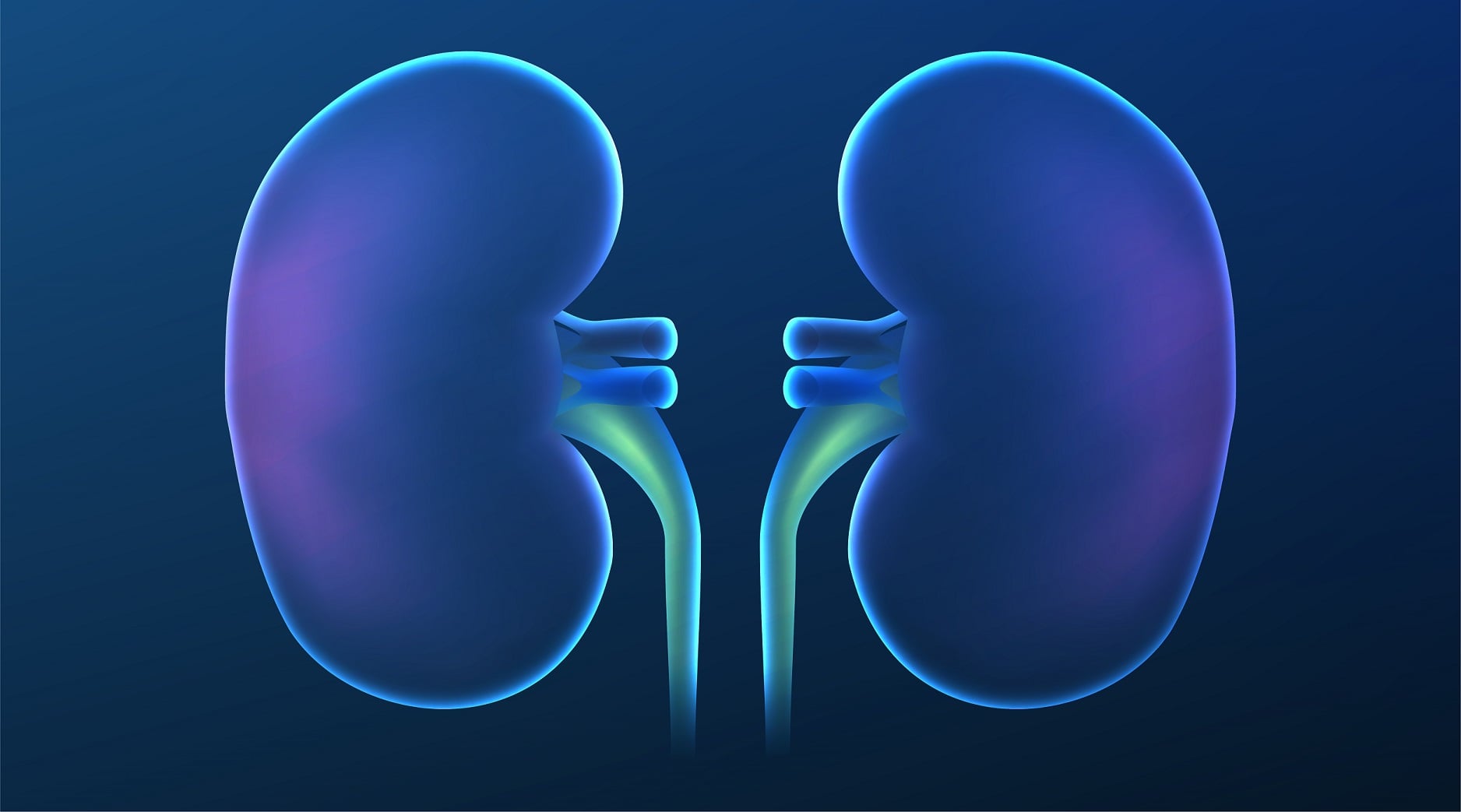 wwang_040522_7 kidneys Eledon
