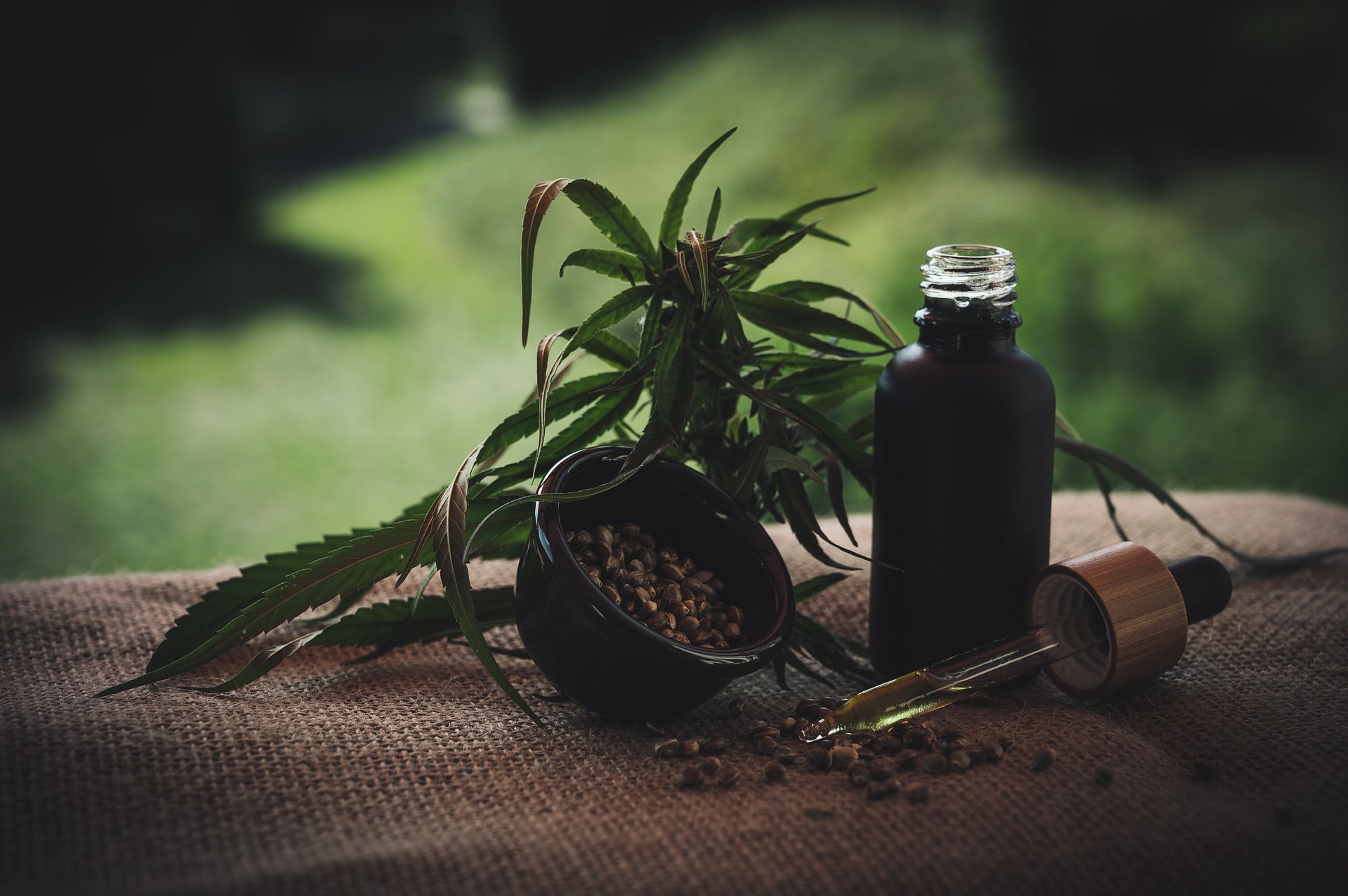 cbd oil with cannabis