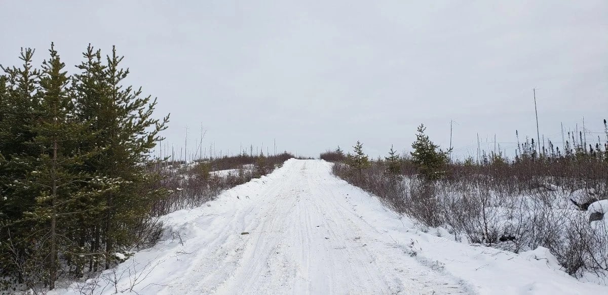 A gravel road runs through boreal forest toward the Nisk project in Quebec.