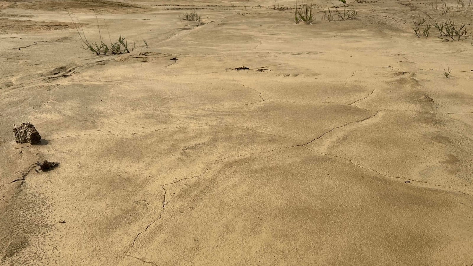A wide view shows tailings-covered ground at Fulcrum Metals' Sylvanite project in Ontario.