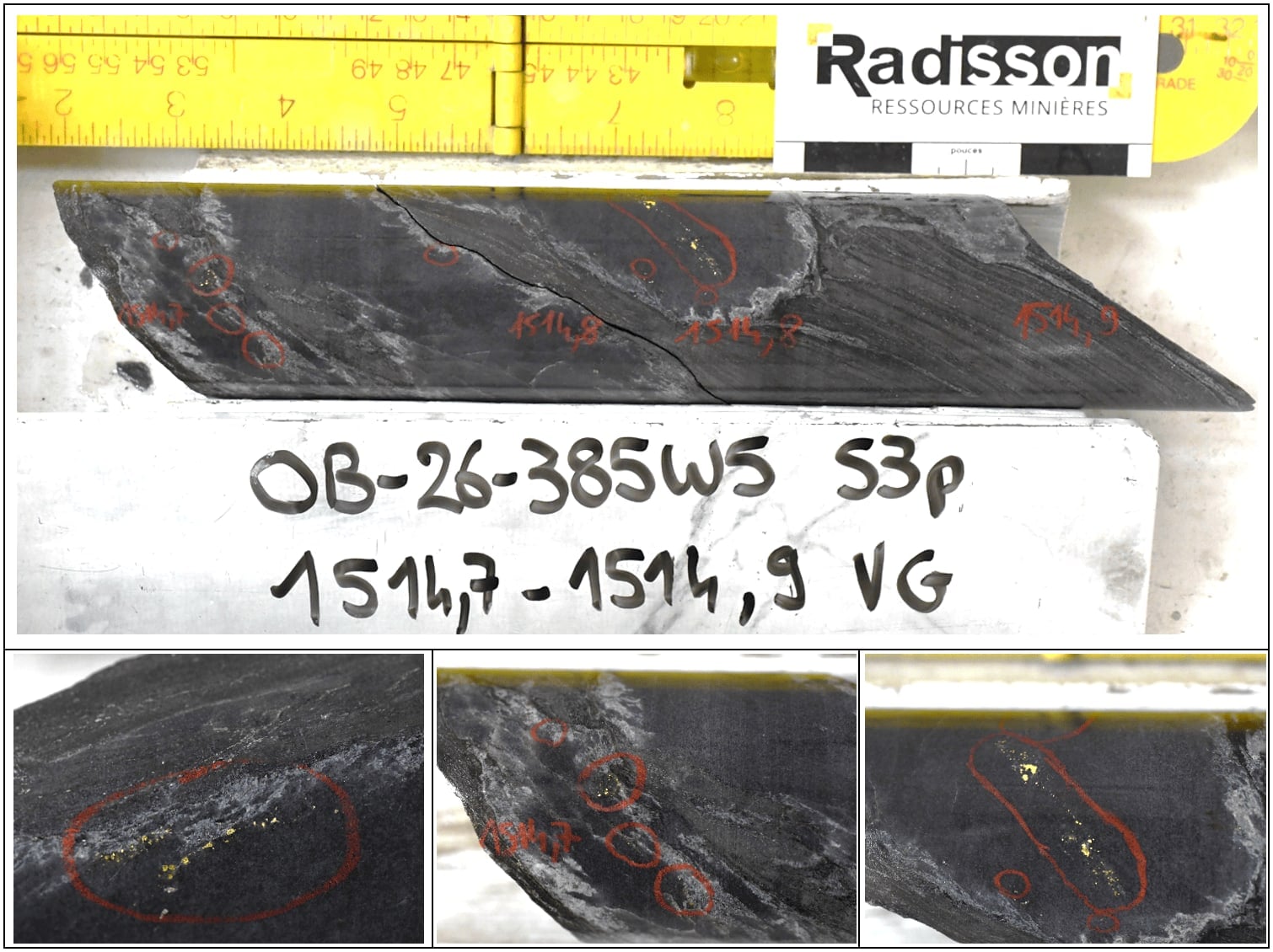 Sawn drill core marked with red circles around specks of visible gold, photographed beside a folding ruler and a scale card.