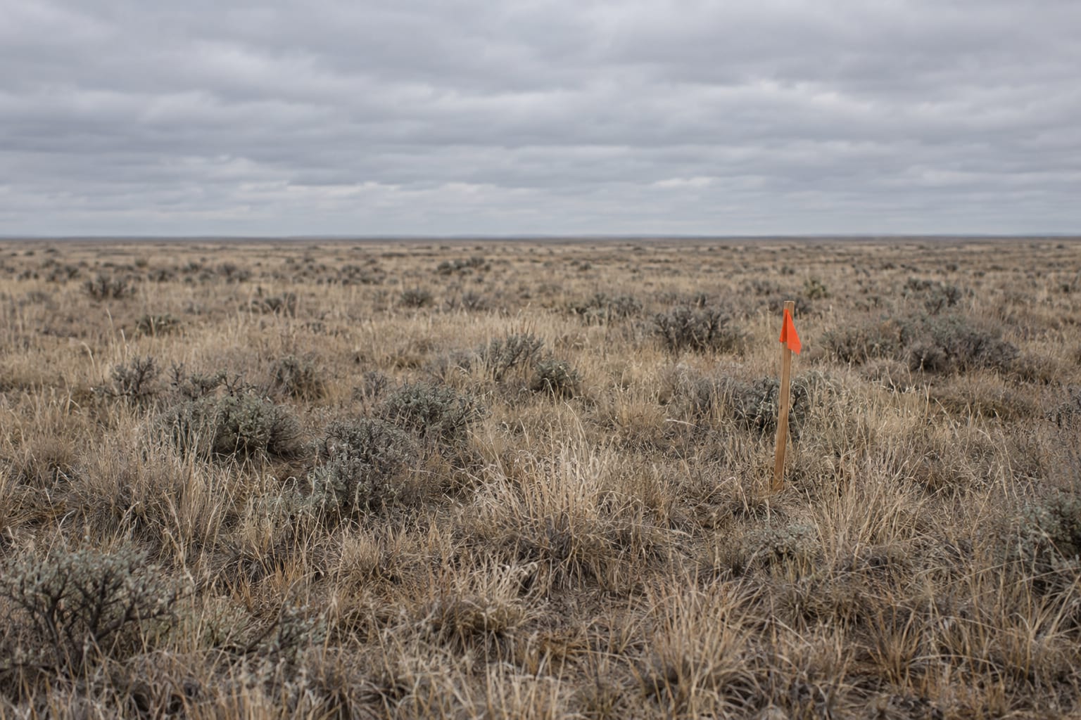 Eastport Critical Metals Corp reports 110.8m copper interval at Nak-Main