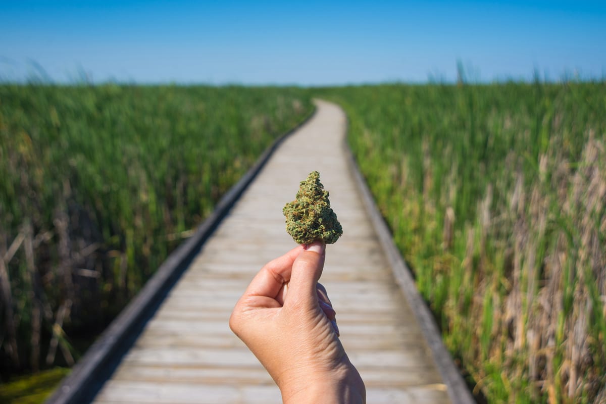 Centric Health Announces Strategic Partnership with Canopy Growth