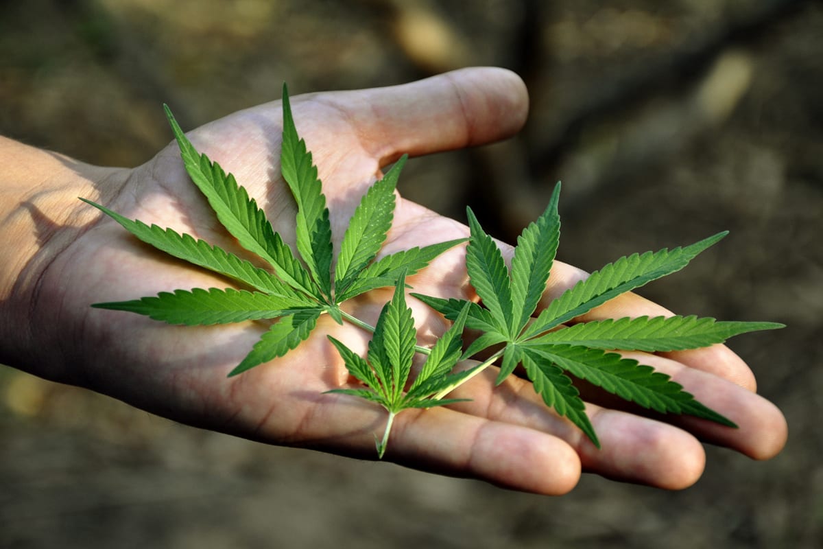 TGOD Selects Shopify for Ecommerce Solution