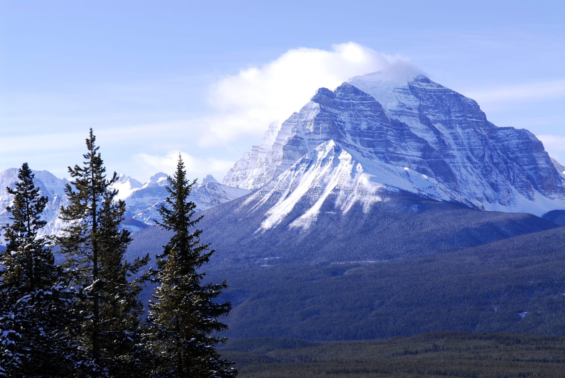 Tourism Drives Canadian Marijuana Demand