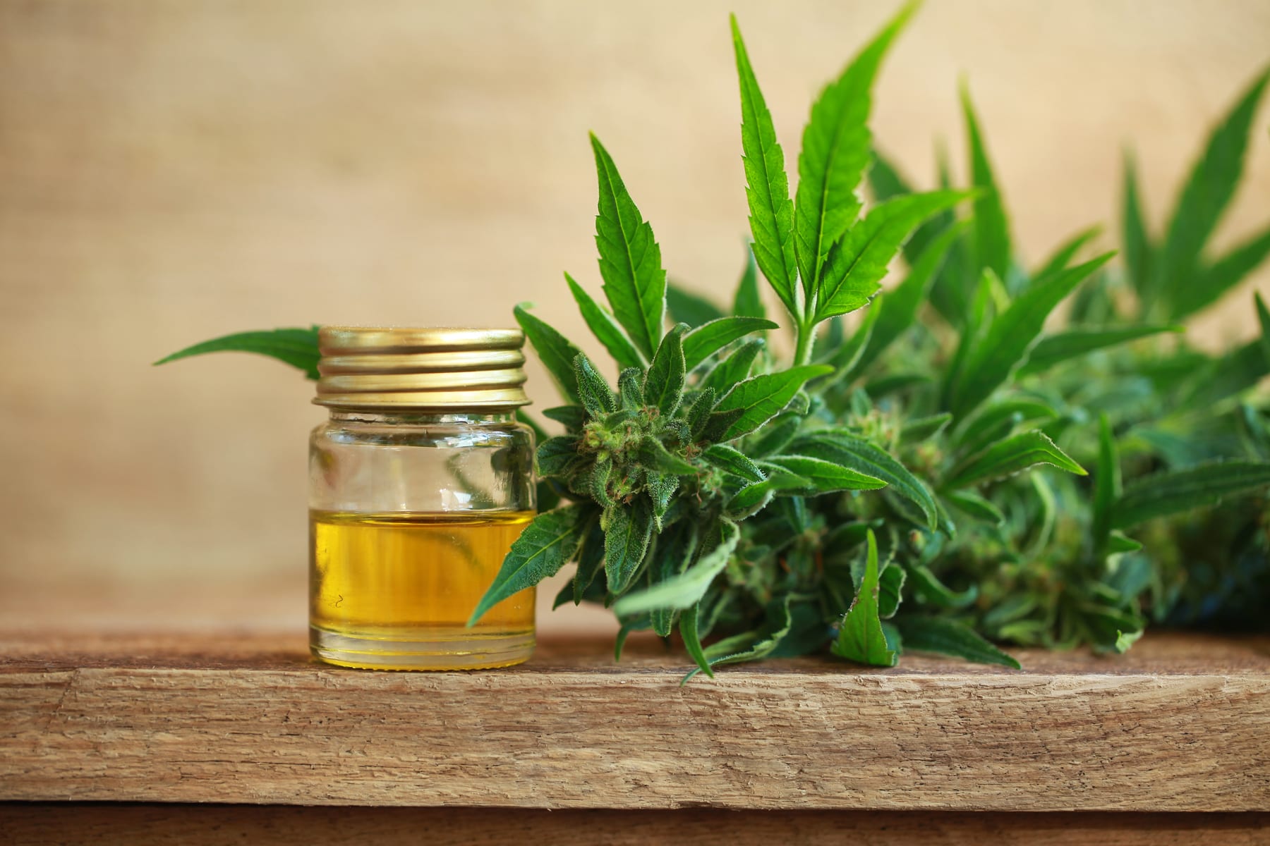 5 Stocks That Will Benefit from Hemp Legalization in the U.S.