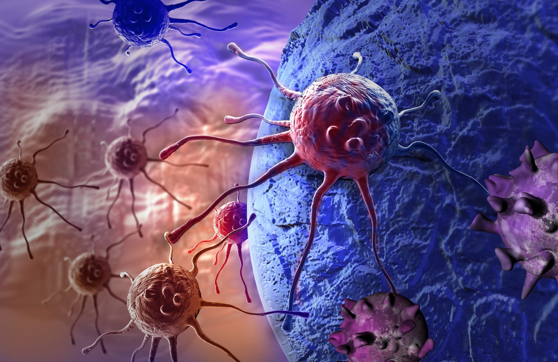 Study Suggests Cannabis Could Be Effective in Slowing Cancer Cells