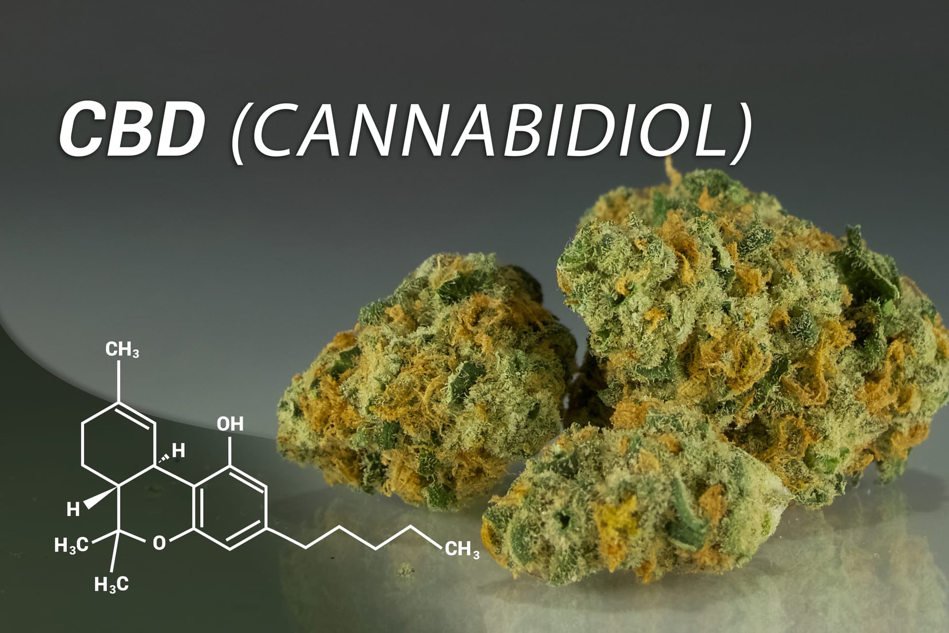 Canopy Growth Acquires German Company C3 for $342.9 Million