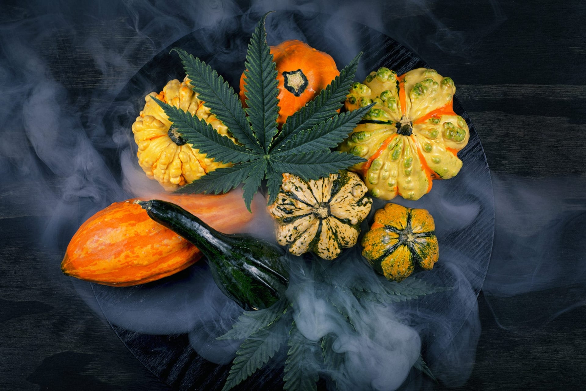 Restaurant Chefs See Cannabis-Infused Foods as the Next Big Trend for 2019