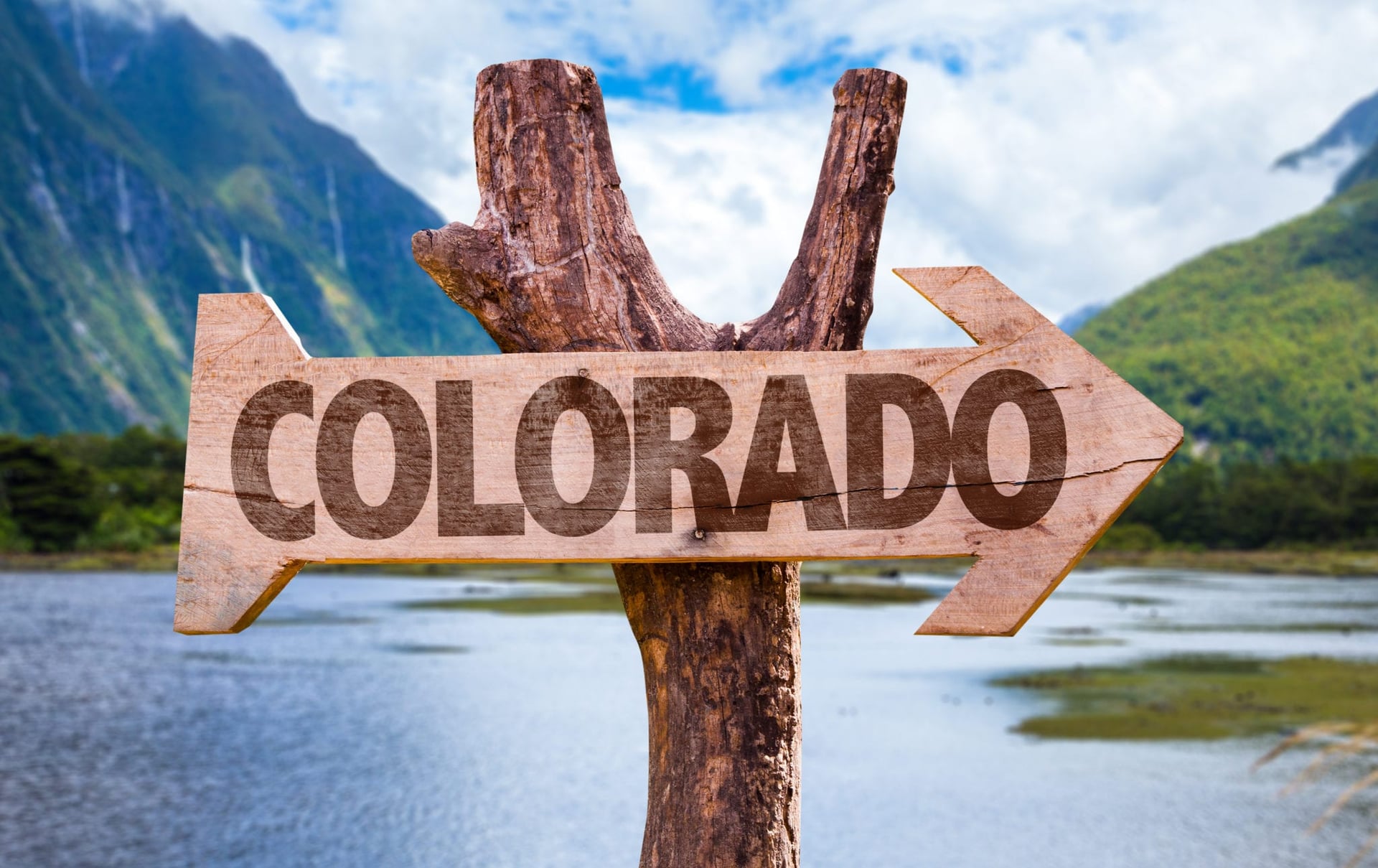 Has the Cannabis Industry in Colorado Reached a Peak?