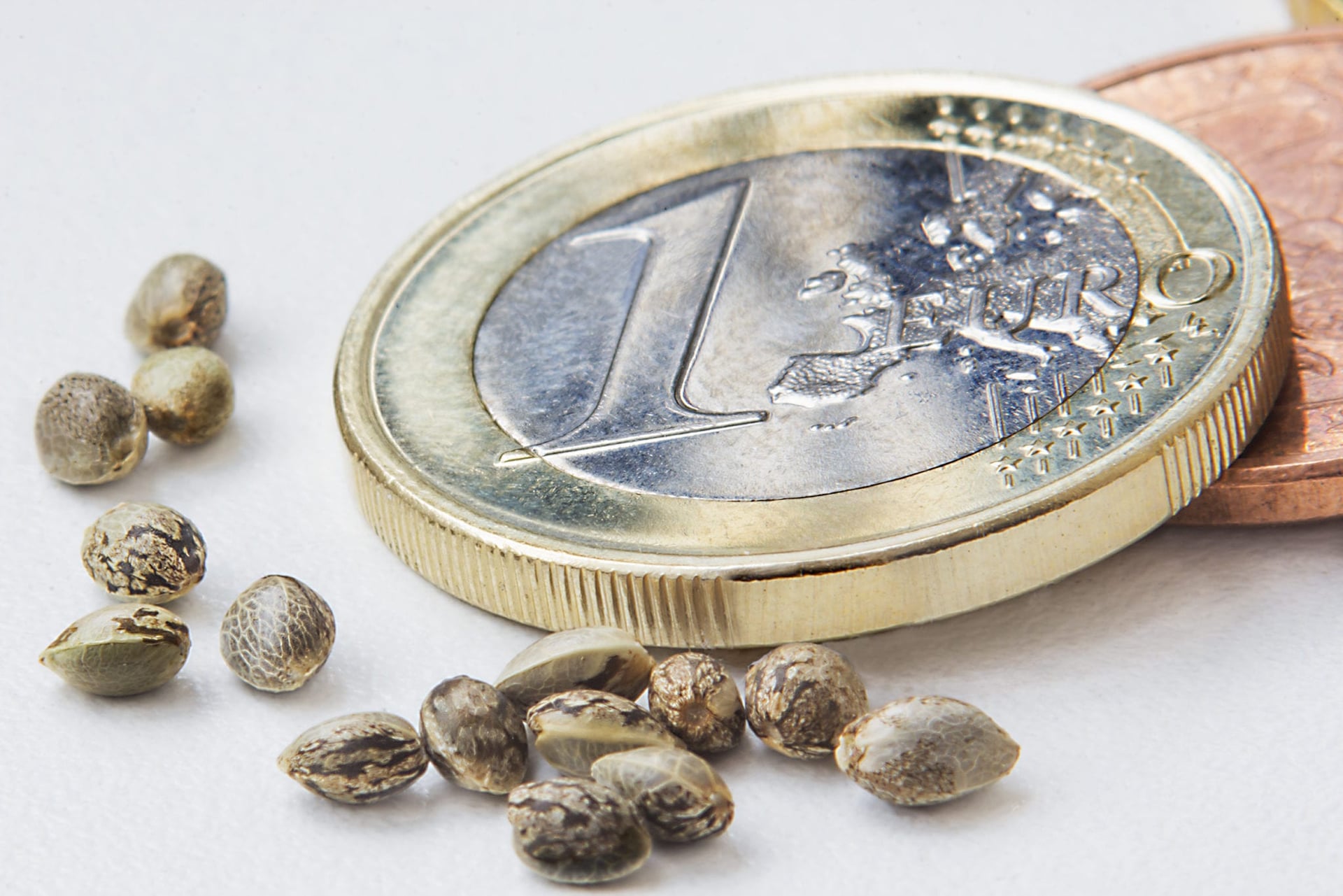 Are Cannabis Companies Making a Mistake by Expanding Into Europe?