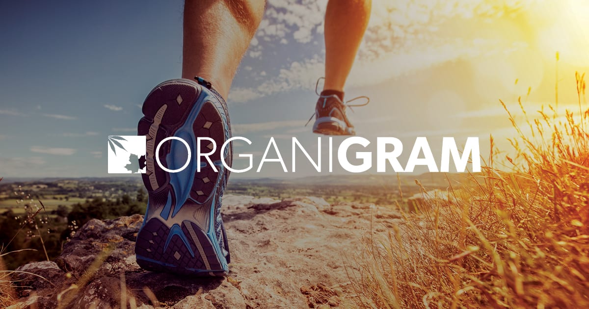 OrganiGram Down on Q2 Results as Net Sales of $26.9 Million Not Enough to Stay out of the Red