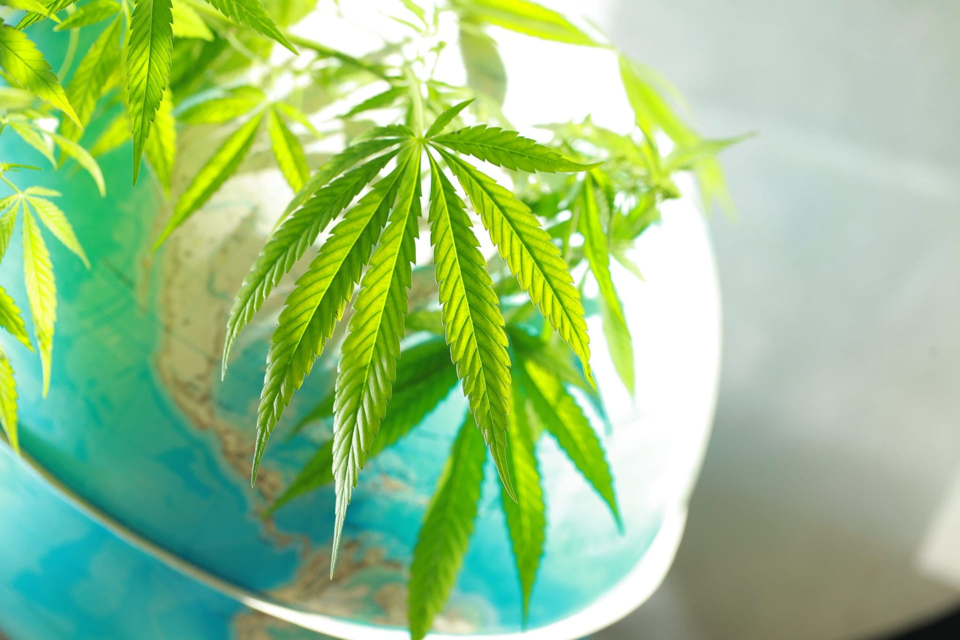Is Aurora Cannabis Focusing on the Wrong Markets?