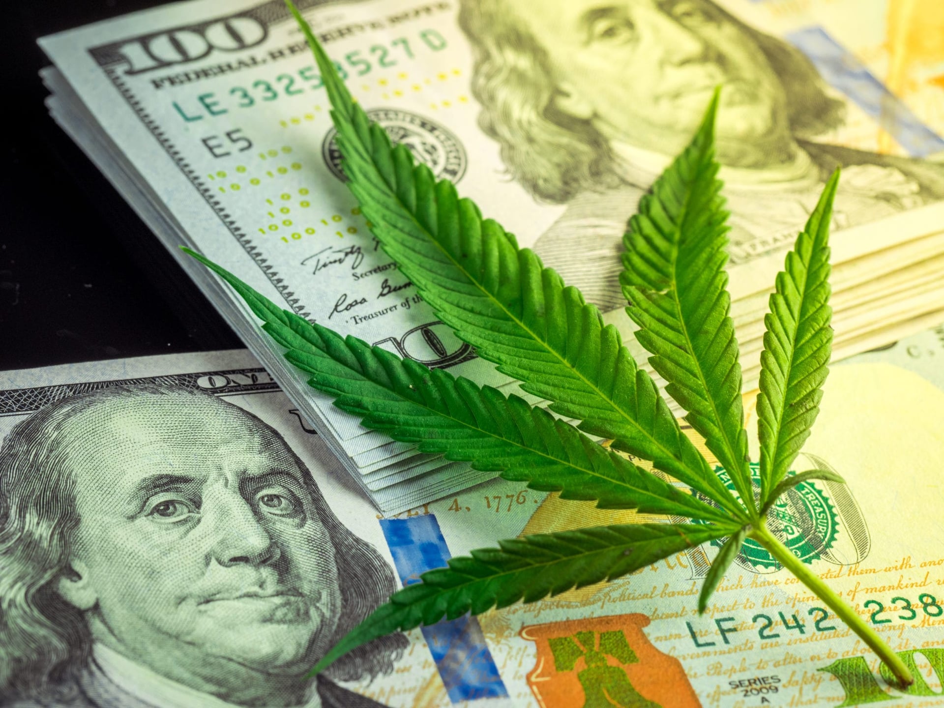 CannTrust Mulls U.S. Partnership, Releases Q1 Results