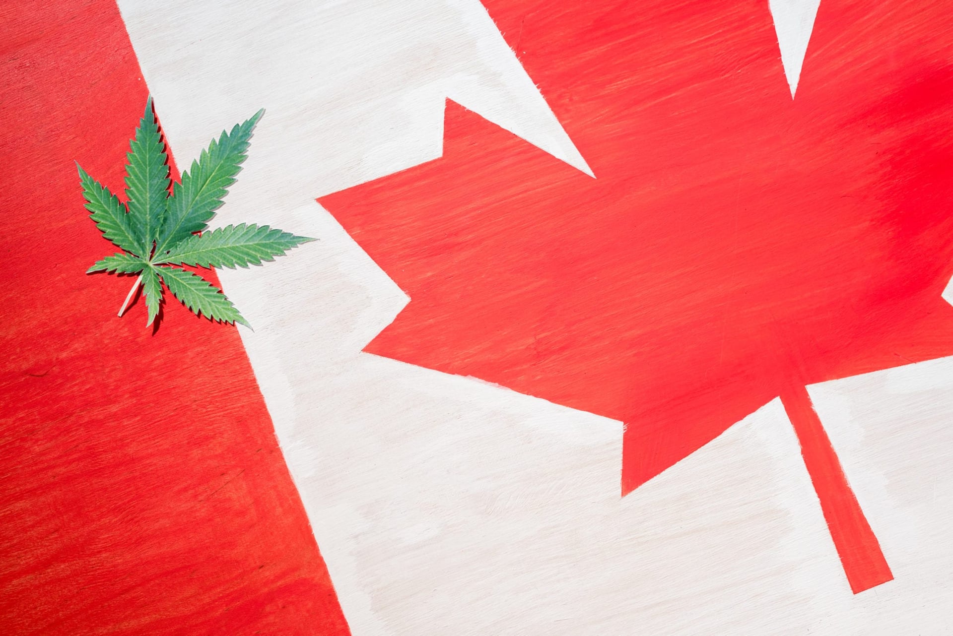 Canada's Cannabis Advantage Going up in Smoke, Investors Turn to U.S.