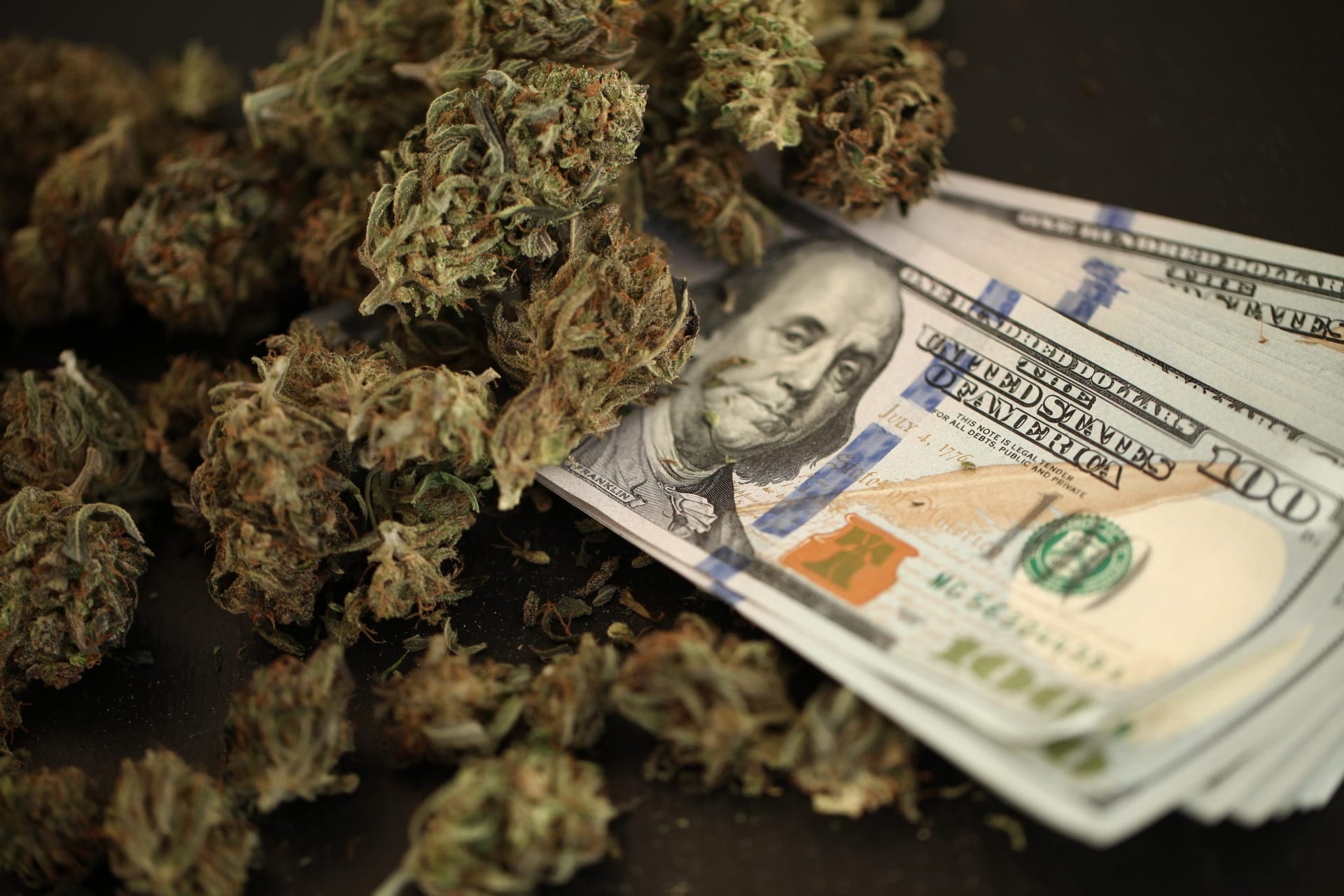 Green Organic Dutchman, Latest Canadian Cannabis Company to Enter U.S. Market