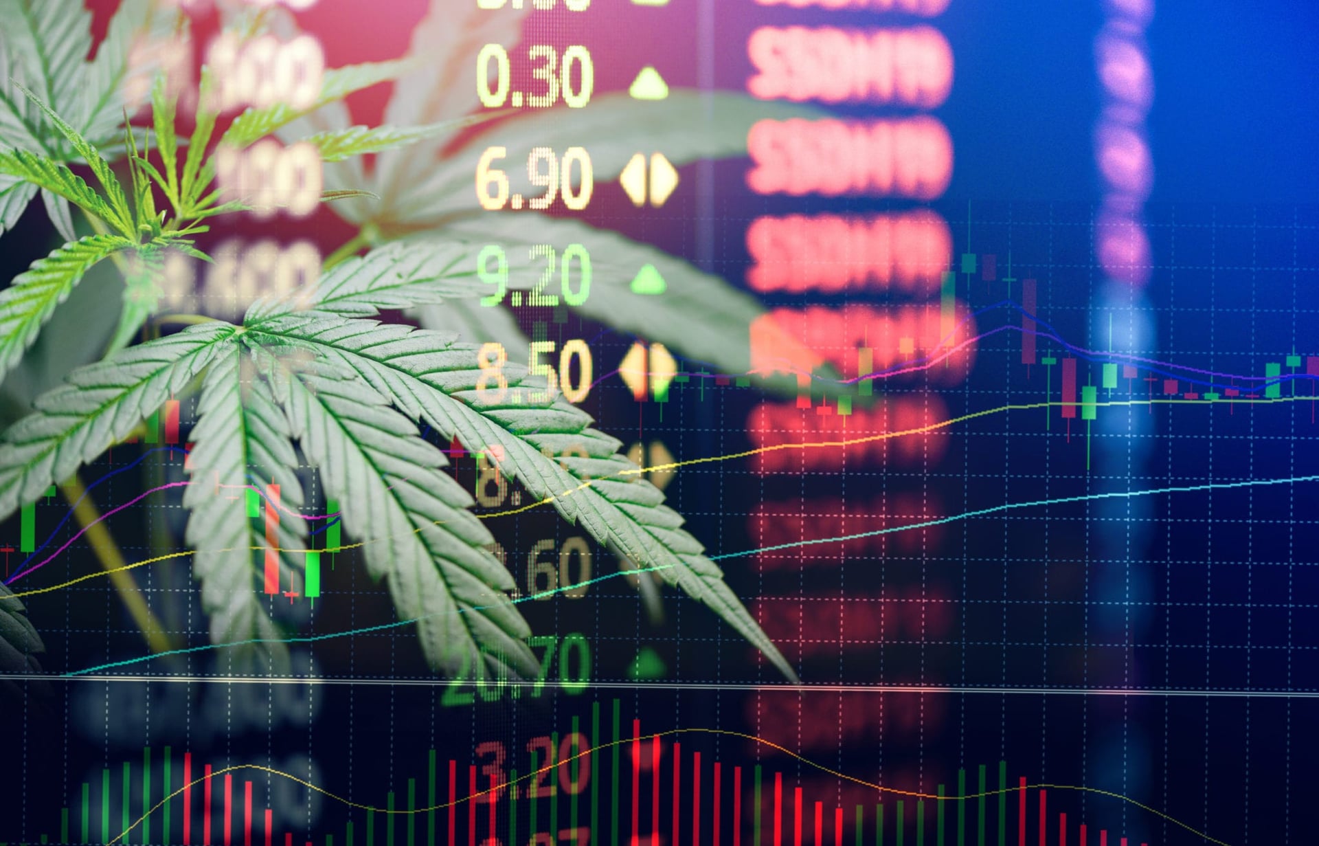 Supreme Cannabis Records Strong Q3, Sales Reach $10 Million