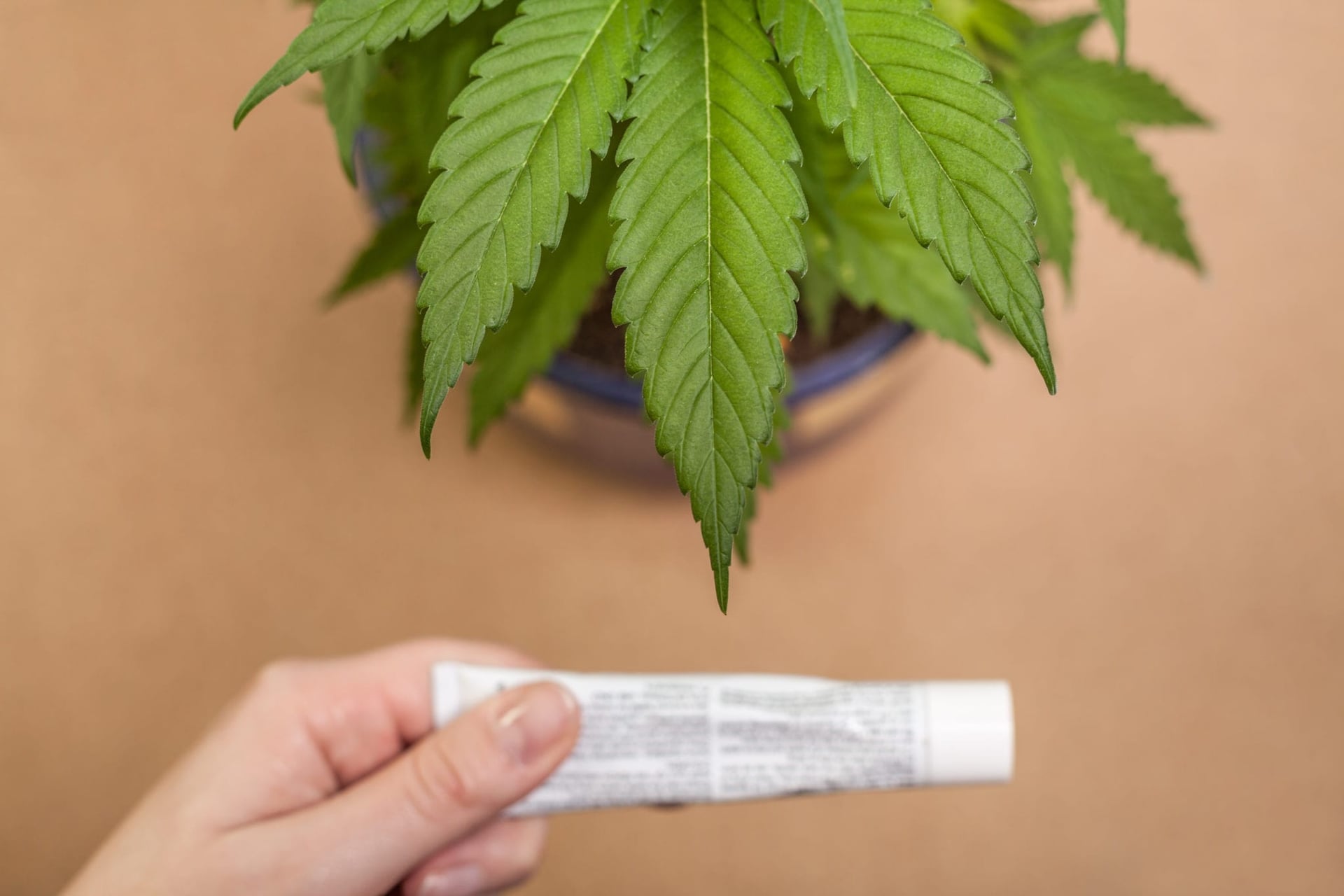 Canopy Growth to Acquire U.K. Skin-Care Company for $73.8 Million