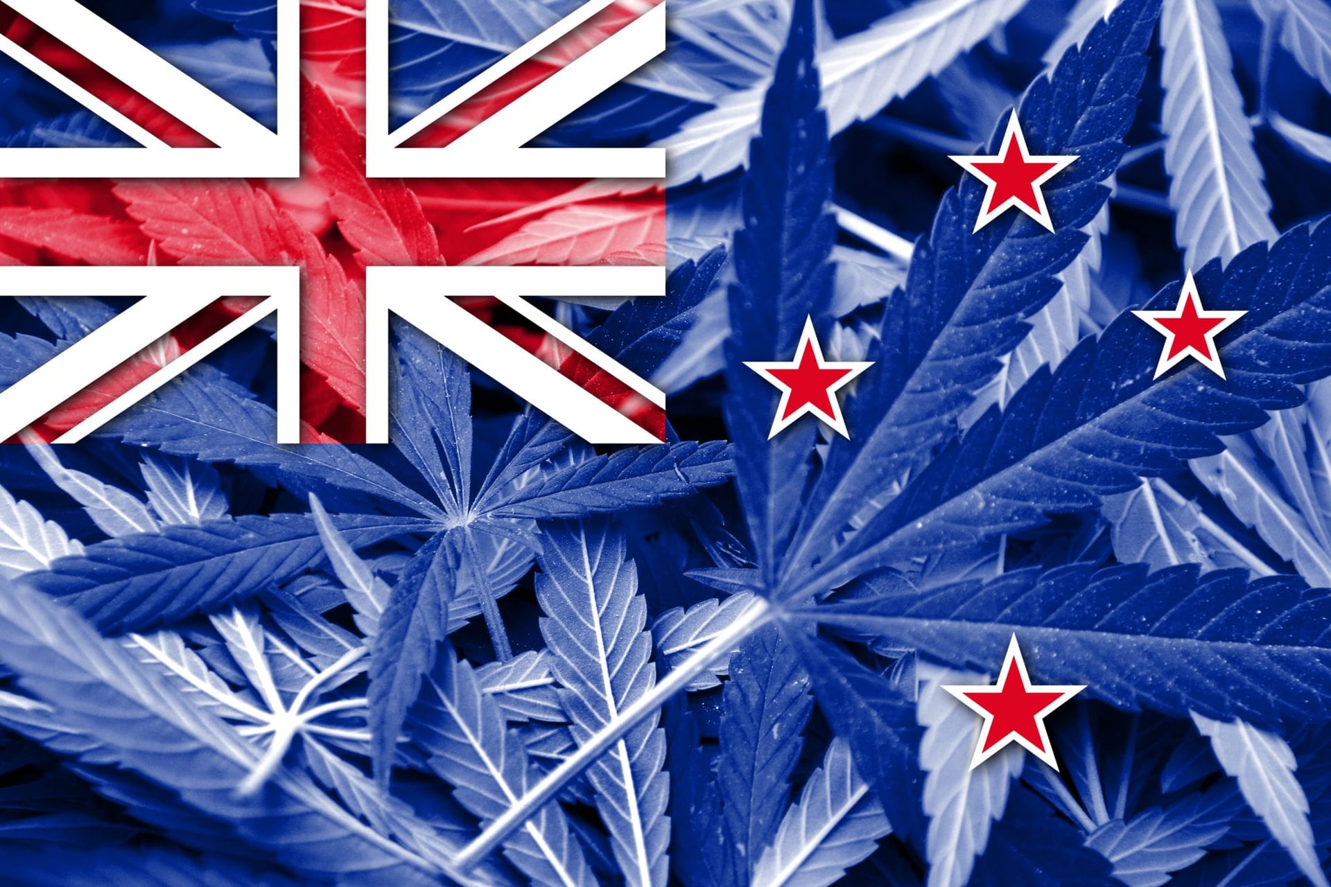 New Zealand cannabis legalize