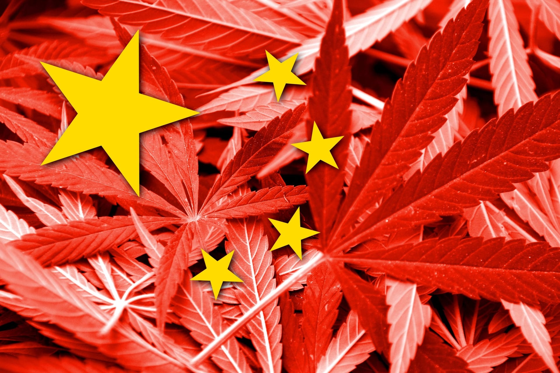 China Cashing in on Cannabis, CBD Boom